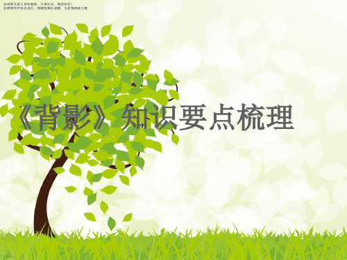 背影知识要点梳理 PPT课件