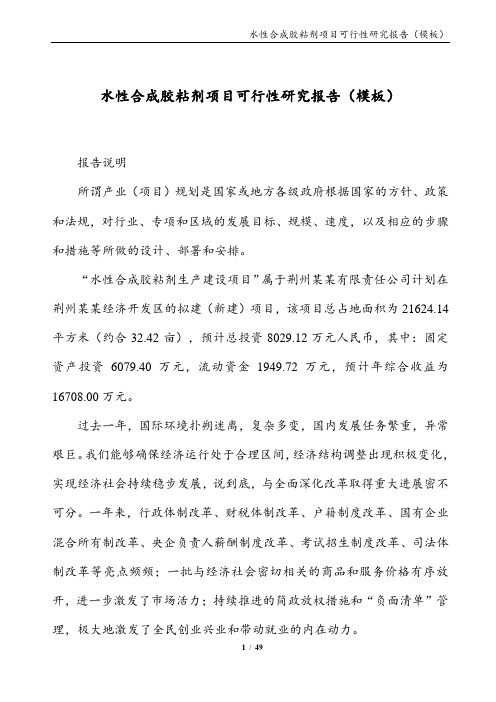 水性合成胶粘剂项目可行性研究报告(模板)
