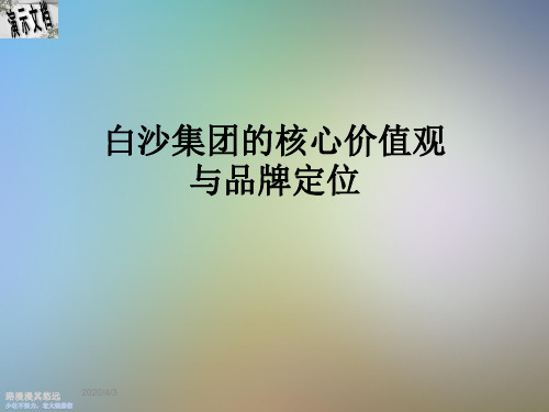 白沙集团的核心价值观与品牌定位