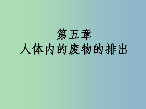 七年级生物下册第四单元第五章人体内废物的排出1新版新人教版