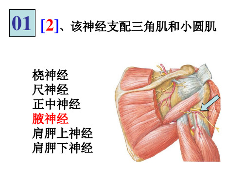 局解实验集锦PPT课件_1
