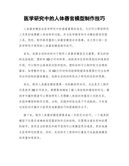 医学研究中的人体器官模型制作技巧