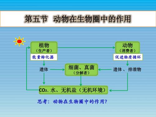 第五节 动物在生物圈中的作用