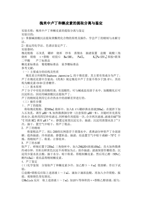 槐米中卢丁和槲皮素的提取分离与鉴定