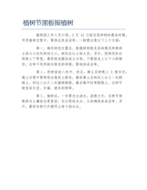 植树节黑板报植树文字稿