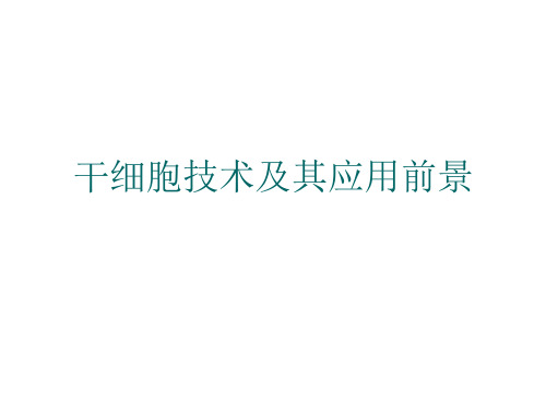 干细胞及成体细胞PPT课件