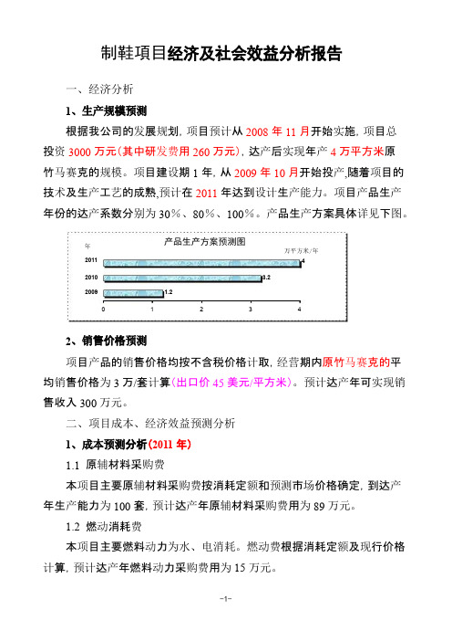 经济及社会效益分析报告