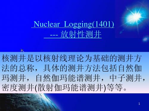 核测井1401