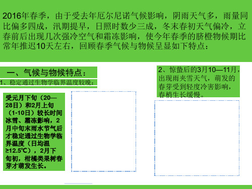 脐橙管理技术措施