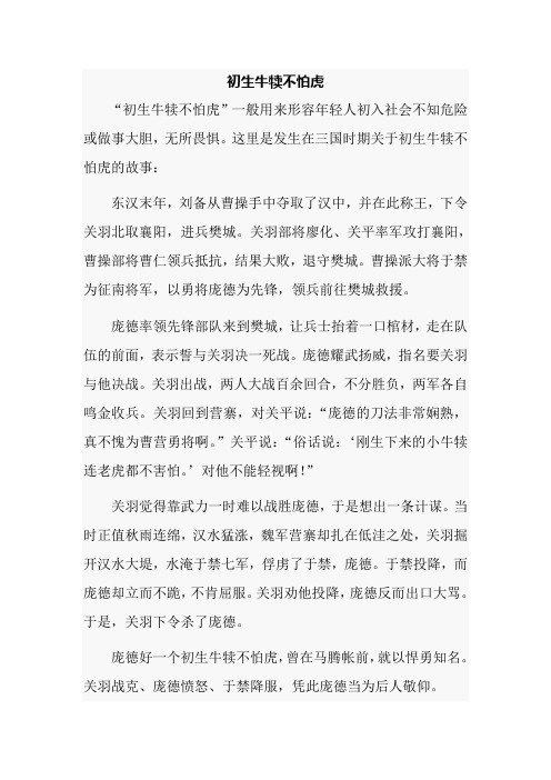 初生牛犊不怕虎
