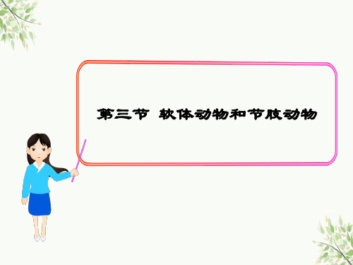 上海市四中八年级生物上册 第五单元 第一章 第三节 软体动物和节肢动物课件1 新版新人教版