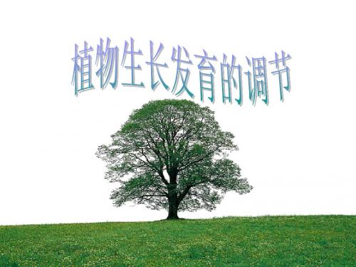 植物生长发育的调节