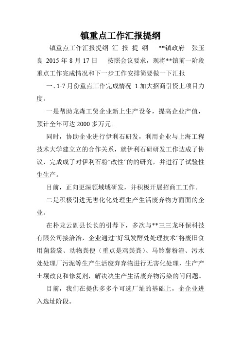 镇重点工作汇报提纲.doc