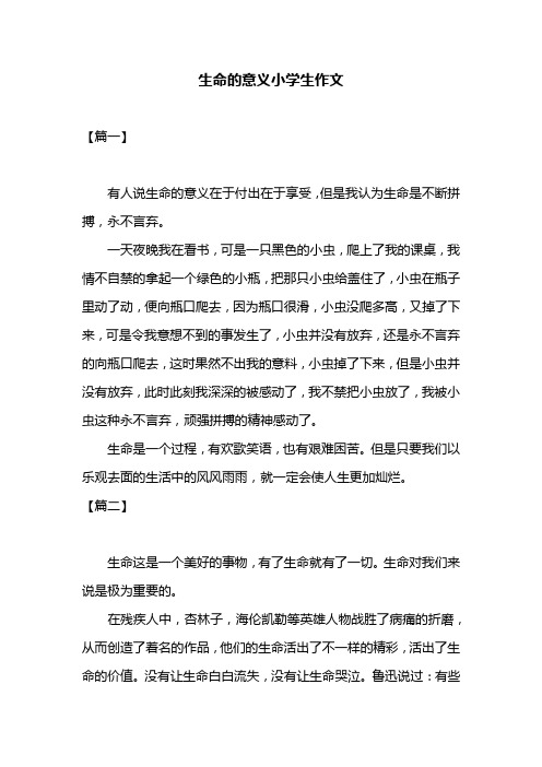 生命的意义小学生作文共三篇