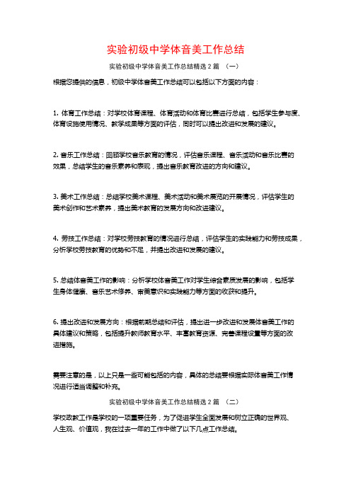 实验初级中学体音美工作总结2篇