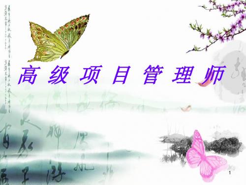 11高级项目管理师