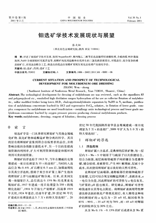 钼选矿学技术发展现状与展望