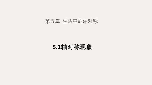 北师大版数学七年级下册5.1《轴对称现象》 课件(共25ppt )