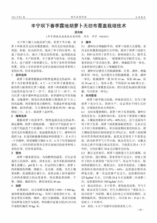 丰宁坝下春季露地胡萝卜无纺布覆盖栽培技术