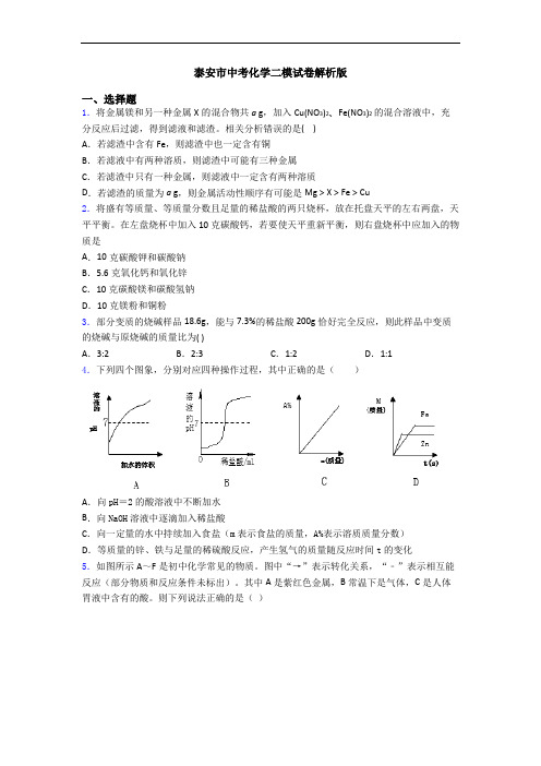 泰安市中考化学二模试卷解析版