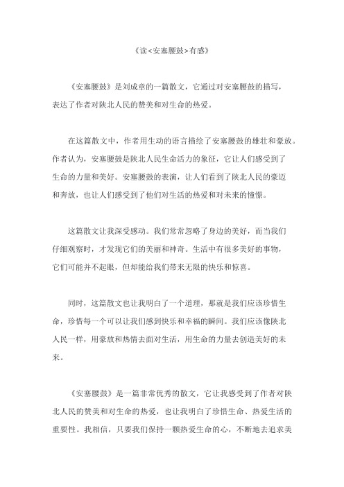 《安塞腰鼓》读后感