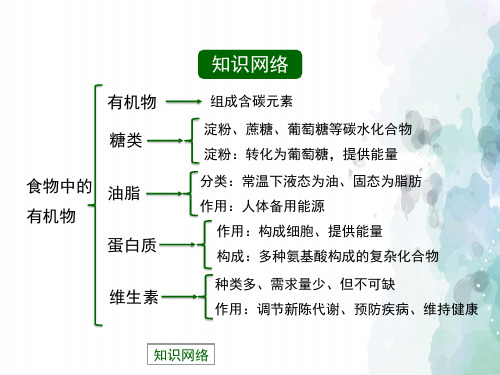 鲁教版化学九年级《食物中的有机物》复习课件
