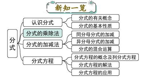 北师大版八年级数学下册第五章 分式与分式方程2 分式的乘除法