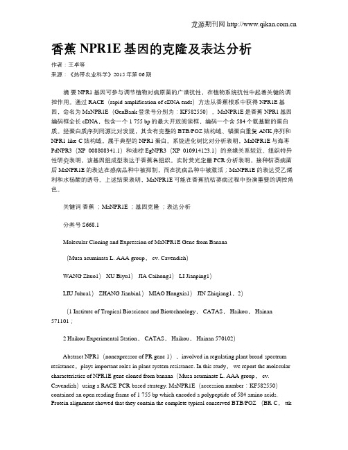 香蕉NPR1E基因的克隆及表达分析