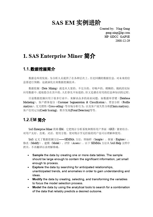 SAS EM实例进阶