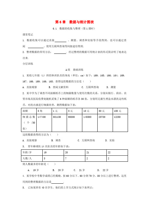 七年级数学下册 第6章 数据与统计图表 6.1 数据的收集与整理(第1课时)校本作业(B本)(新版)