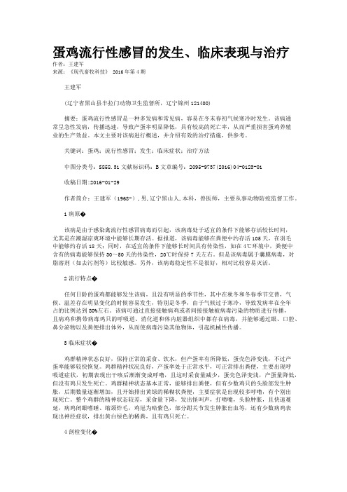 蛋鸡流行性感冒的发生、临床表现与治疗