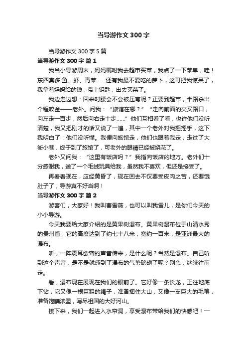 当导游作文300字5篇