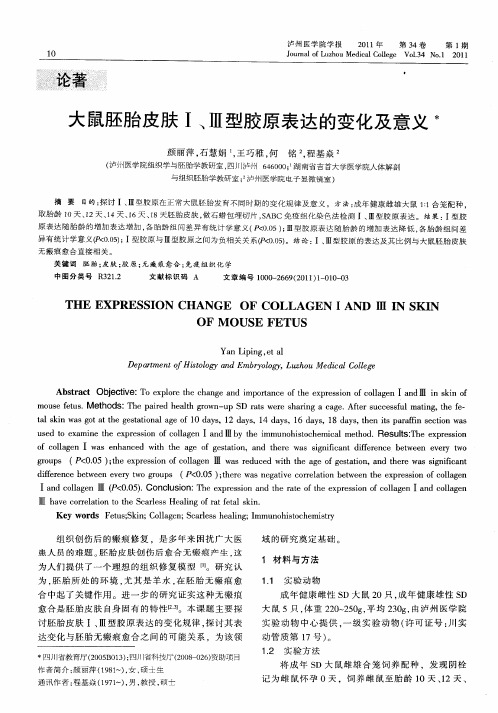 大鼠胚胎皮肤Ⅰ、Ⅲ型胶原表达的变化及意义
