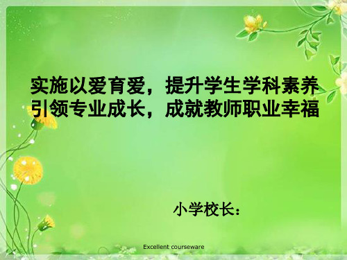 (精品)全体教师培训讲座.ppt