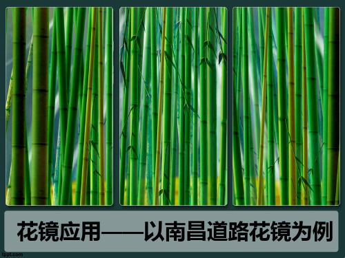 花镜的应用——以南昌街道为例