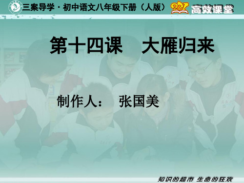 人教版语文八年级下第十四课《大雁归来》(271课件)19页PPT文档