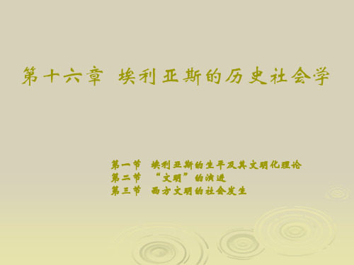 当代国外社会学理论第十六章   埃利亚斯的历史社会学