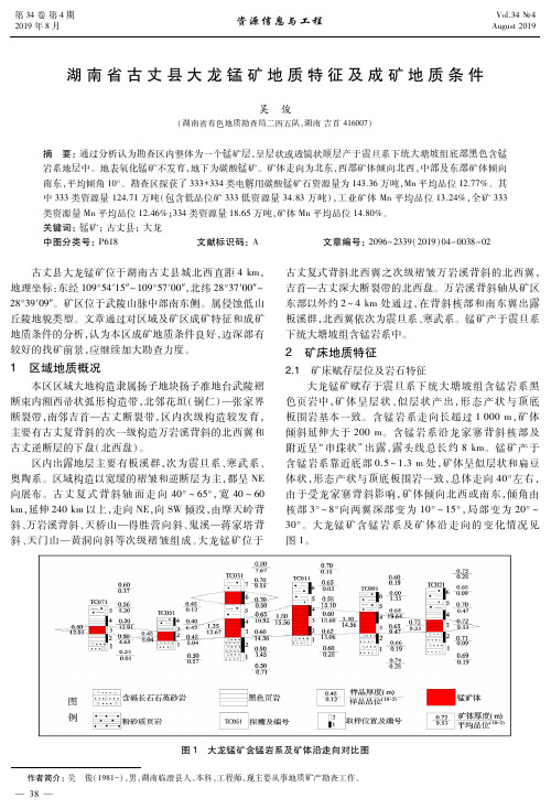 湖南省古丈县大龙锰矿地质特征及成矿地质条件