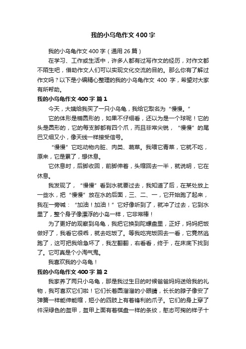 我的小乌龟作文400字（通用26篇）