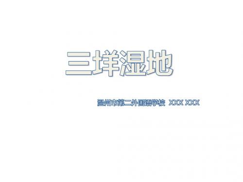 三垟湿地
