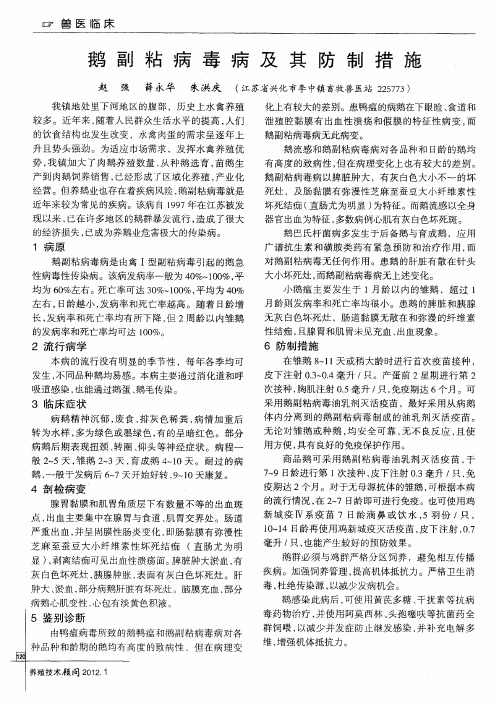 鹅副粘病毒病及其防制措施
