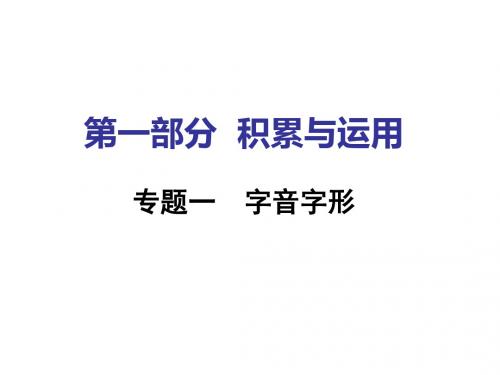  湖南中考面对面语文课件 第一部分   专题一  字音字形