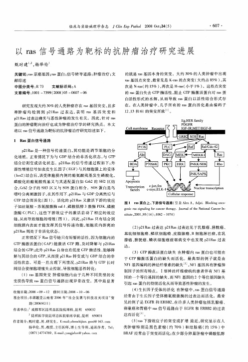 以ras信号通路为靶标的抗肿瘤治疗研究进展