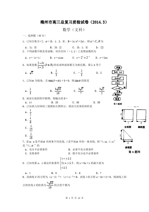数学文卷·2014届广东省梅州市高三总复习质检(2014.03)WORD版