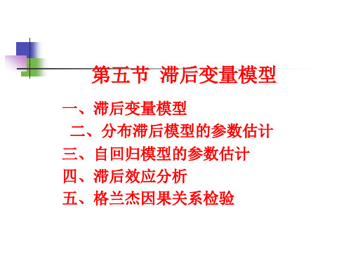 大学生课件_数学统计学：回归模型的扩展课件：第五节 滞后变量