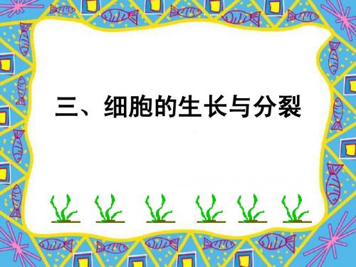 细胞的生长、分裂和分化