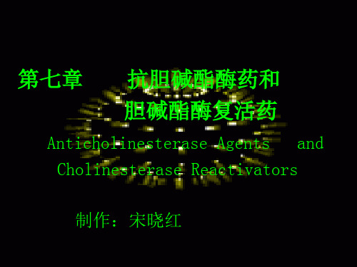 乙酰胆碱酯酶