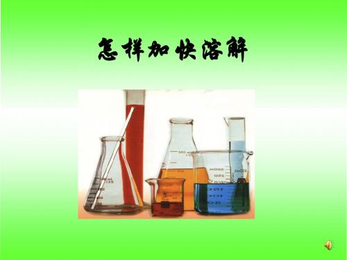四年级上科学加快溶解公开课课件