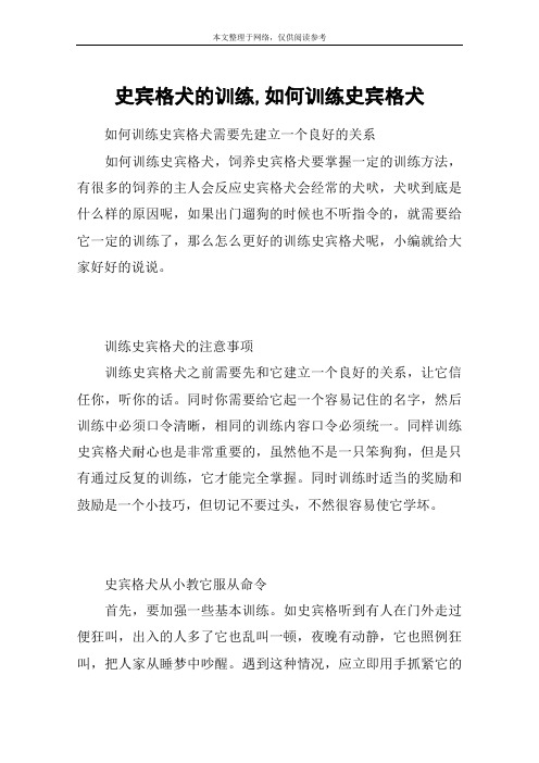 史宾格犬的训练,如何训练史宾格犬
