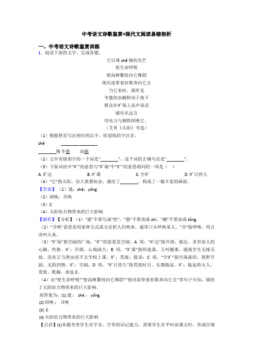 中考语文诗歌鉴赏+现代文阅读易错剖析